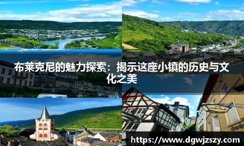 布莱克尼的魅力探索：揭示这座小镇的历史与文化之美