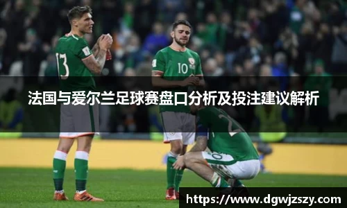 法国与爱尔兰足球赛盘口分析及投注建议解析