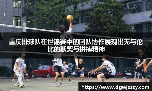 AC米兰体育官网入口