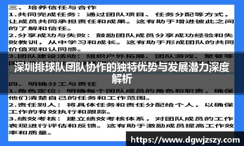 深圳排球队团队协作的独特优势与发展潜力深度解析