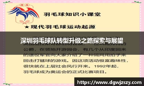 深圳羽毛球队转型升级之路探索与展望